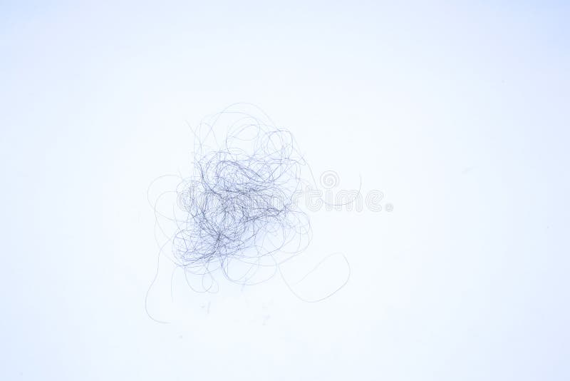 Hair Fall on the Ground. Loss of Hair after Combing. Pubic Hair Fall on  Room Floor Stock Image - Image of closeup, hair: 201227939