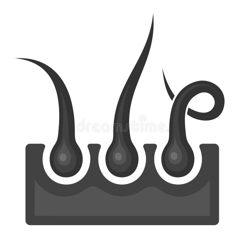 Hair Follicle Icon. Vector stock vector. Illustration of pigment 64856031