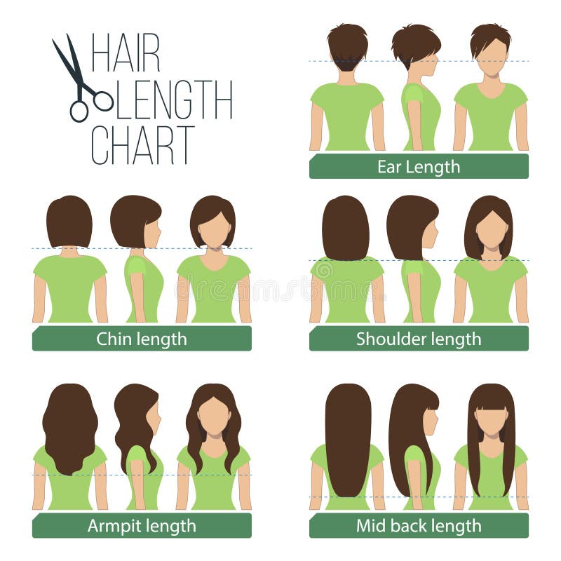 Hairstyle Chart