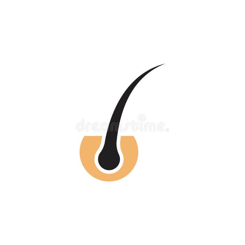 Hair icon stock vector. Illustration of icon, hair, head - 10051456