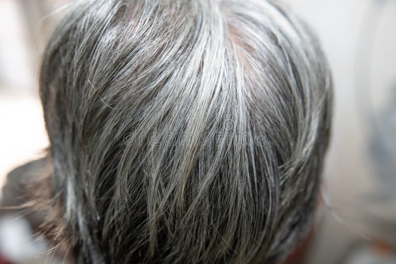 Hair is Turning Grey in an Old Human. Hair Turns Grey - Close Up Shot Stock Photo - Image of elderly, care: 131732234 Hair is Turning Grey in an Old Human. Hair Turns Grey - Close Up Shot Stock Photo - Image of elderly, care: 131732234