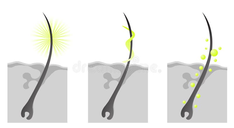 Haircare kosmetischer Eigenschaftenschnitt lizenzfreie abbildung Haircare kosmetischer Eigenschaftenschnitt lizenzfreie abbildung