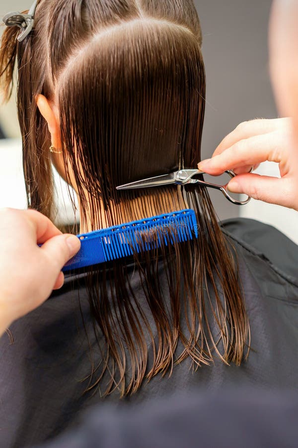 965 Male Long Hair Back View Stock Photos - Free & Royalty-Free Stock Photos from Dreamstime 965 Male Long Hair Back View Stock Photos - Free & Royalty-Free Stock Photos from Dreamstime