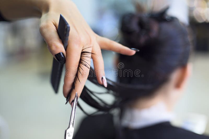 Hairdresser cutting client`s hair in beauty salon. Beauty concept