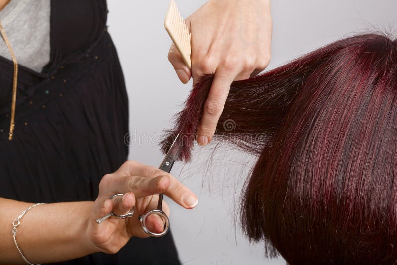 Hairdresser cutting hair stock photo. Image of hairdressing 7313268
