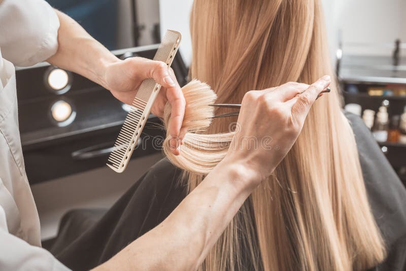 Hairdresser is Cutting Long Hair in Hair Salon Stock Photo - Image of  client, close: 129356808