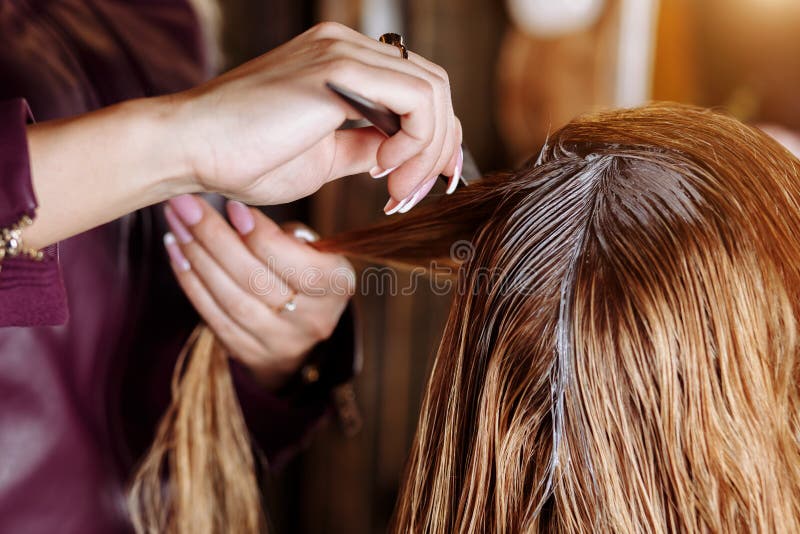 Hairdresser is Dyeing Female Hair. Hairstylist with Brush Applying Mask To Hair of Her Client in Beauty Hair Salon Stock Image - Image of hairdressing, color: 142686411 Hairdresser is Dyeing Female Hair. Hairstylist with Brush Applying Mask To Hair of Her Client in Beauty Hair Salon Stock Image - Image of hairdressing, color: 142686411