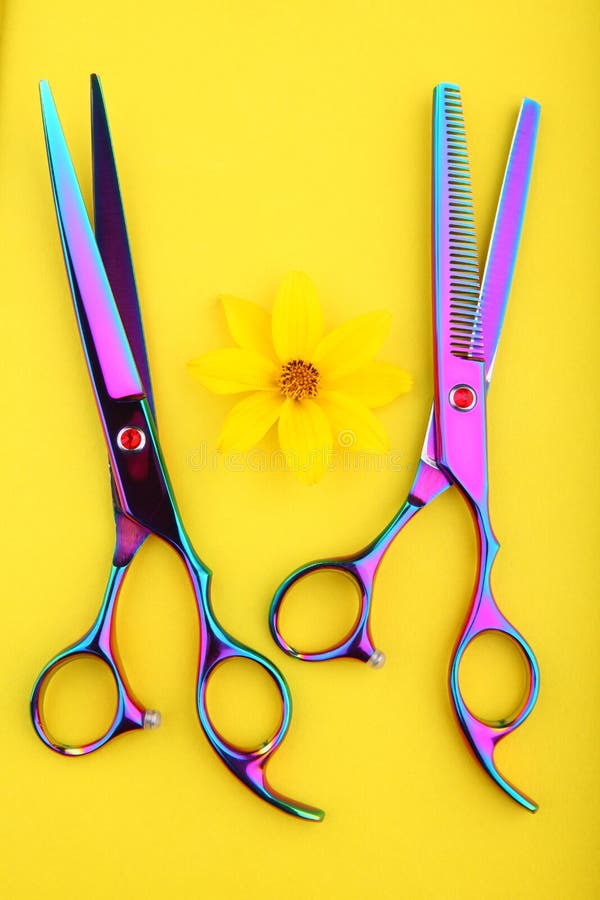 Hairstyle Tools Scissors Studio Quality Stock Photo Image of hair