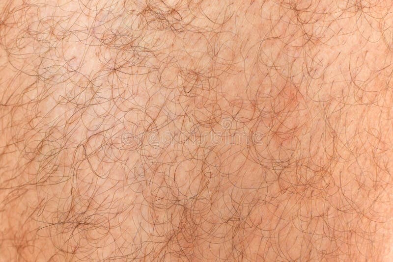 Fragment of the Thigh of the Male Body, Skin Covered with Black Hair. Stock Image - Image of human, long: 134097015 Fragment of the Thigh of the Male Body, Skin Covered with Black Hair. Stock Image - Image of human, long: 134097015