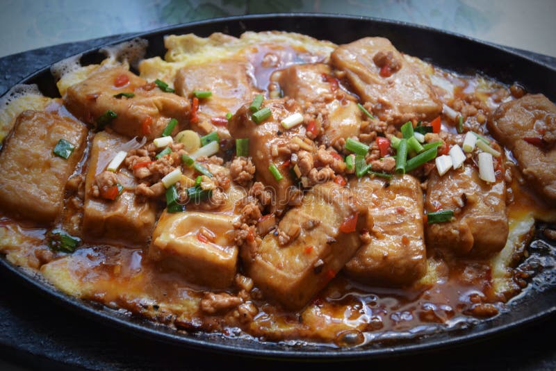 Delicious dish of tofu stock image. Image of cook, fried - 2025313
