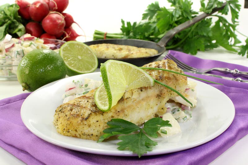 Hake Fillet Stock Image Image Of Steaks Radishes Salad 25965017 hake-fillet-stock-image-image-of-steaks-radishes-salad-25965017