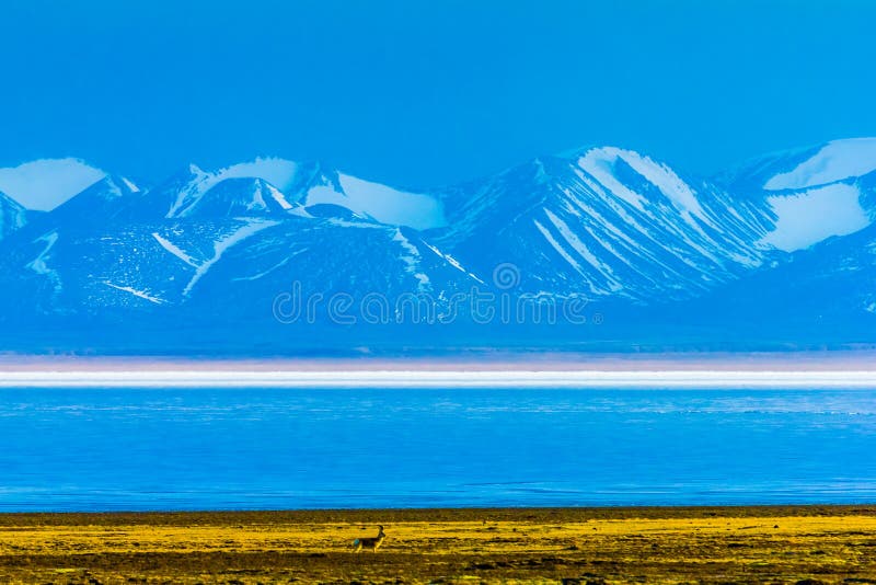 Hala Lake e la neve hanno ricoperto la catena montuosa di Qilian, Qinghai-Tibet Platea, Cina fotografie stock libere da diritti Hala Lake e la neve hanno ricoperto la catena montuosa di Qilian, Qinghai-Tibet Platea, Cina fotografie stock libere da diritti