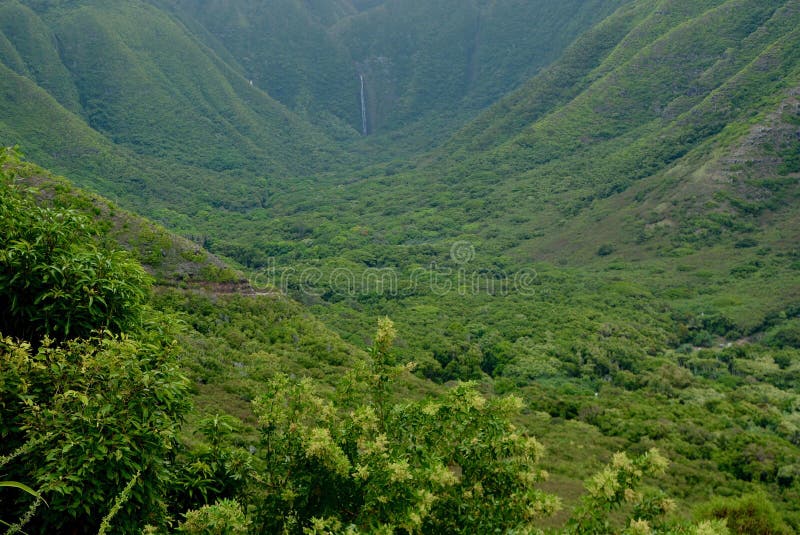 Halawa Valley & Hipuapua Falls