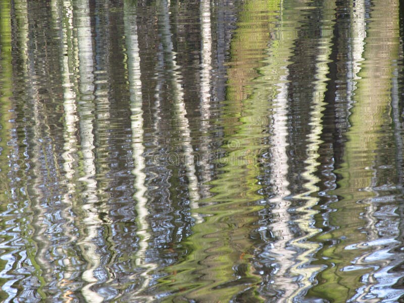 Half abstract forest reflection