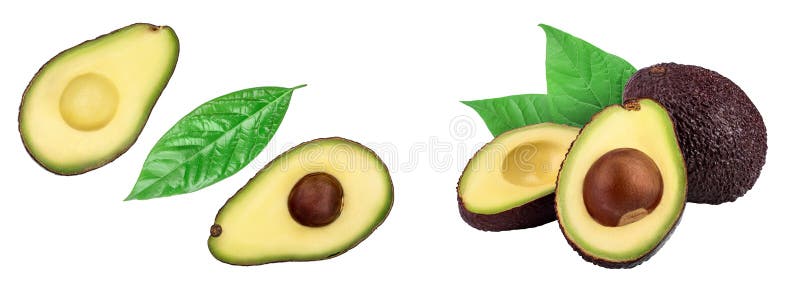 Half avocado isolated on white background close-up. Top view stock image