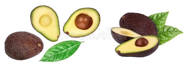 Half avocado isolated on white background close-up. Top view royalty free stock photos