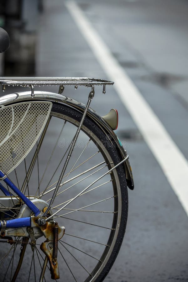 Bicycle Half Wheel on Old Dark Green Italian Woman Bike with Light Green Lawn Stock Image