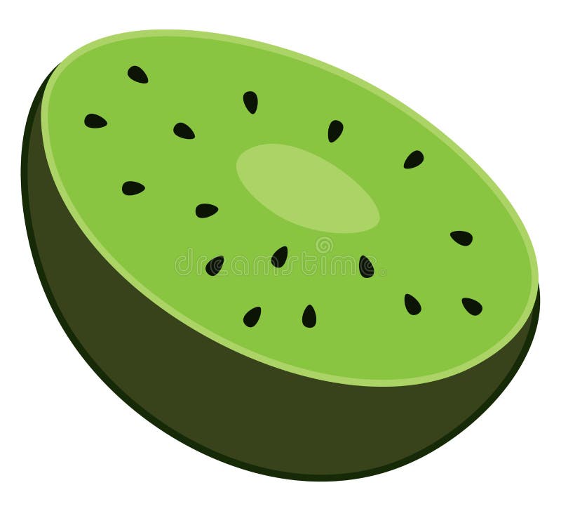 A Half Cut Kiwi Fruit Vector Or Color Illustration Stock Vector Illustration Of Fruit Organic