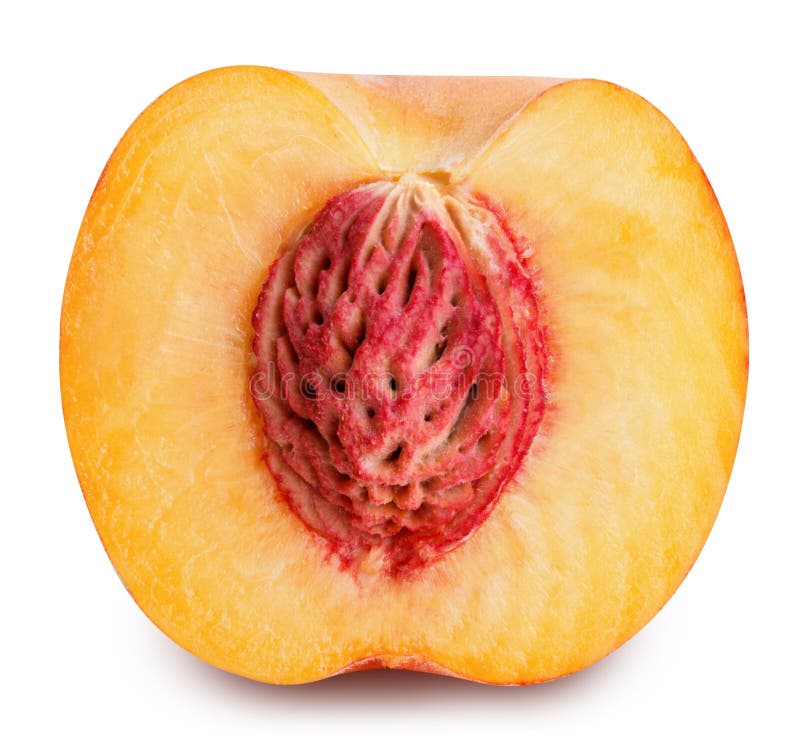 Half Cut Peach Isolated on White Background Stock Photo Image of