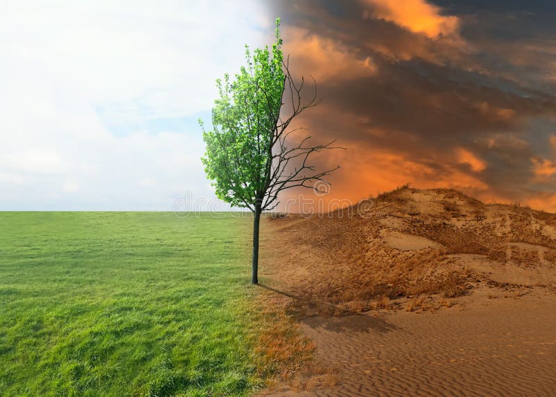 Half dead and alive tree outdoors. Conceptual photo depicting Earth destroyed by global warming