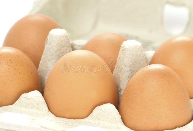 Half a dozen eggs stock image. Image of nutrition, range 28879219