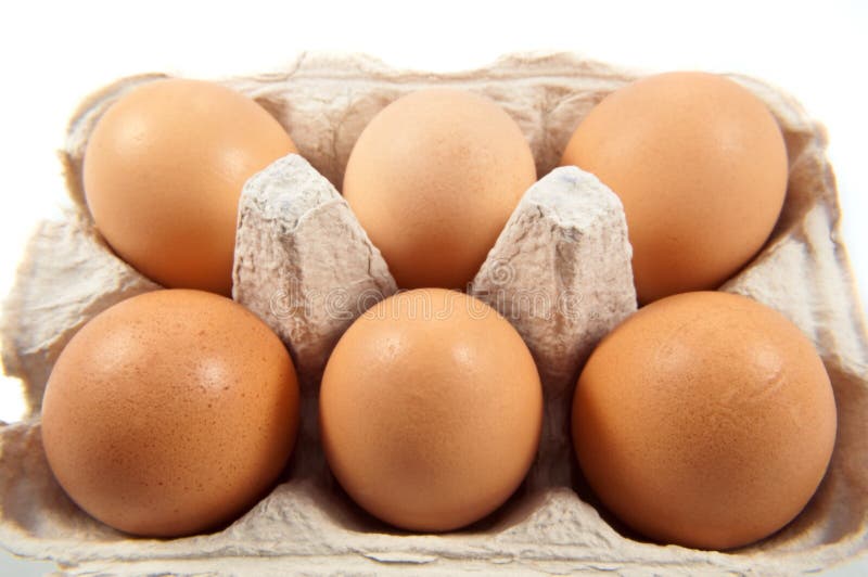 Half dozen fresh eggs stock photo. Image of food, health 13145658