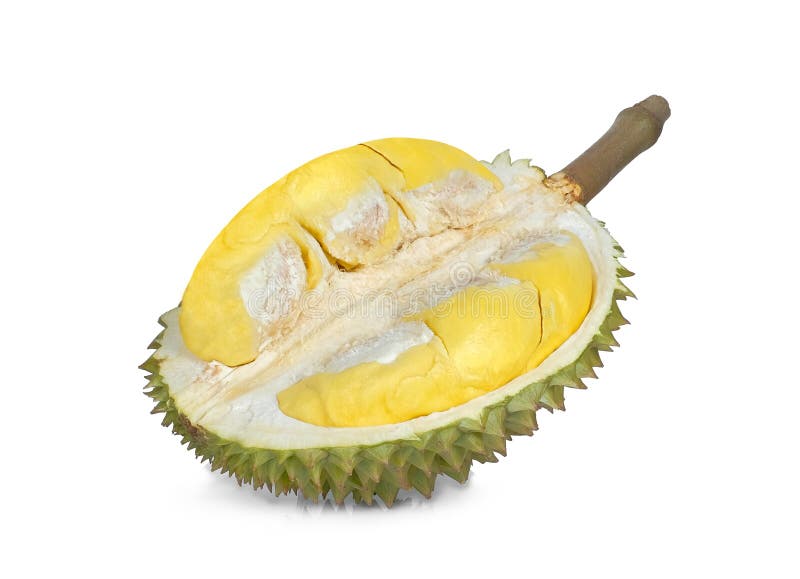 Half of durian isolated on white background royalty free stock photos