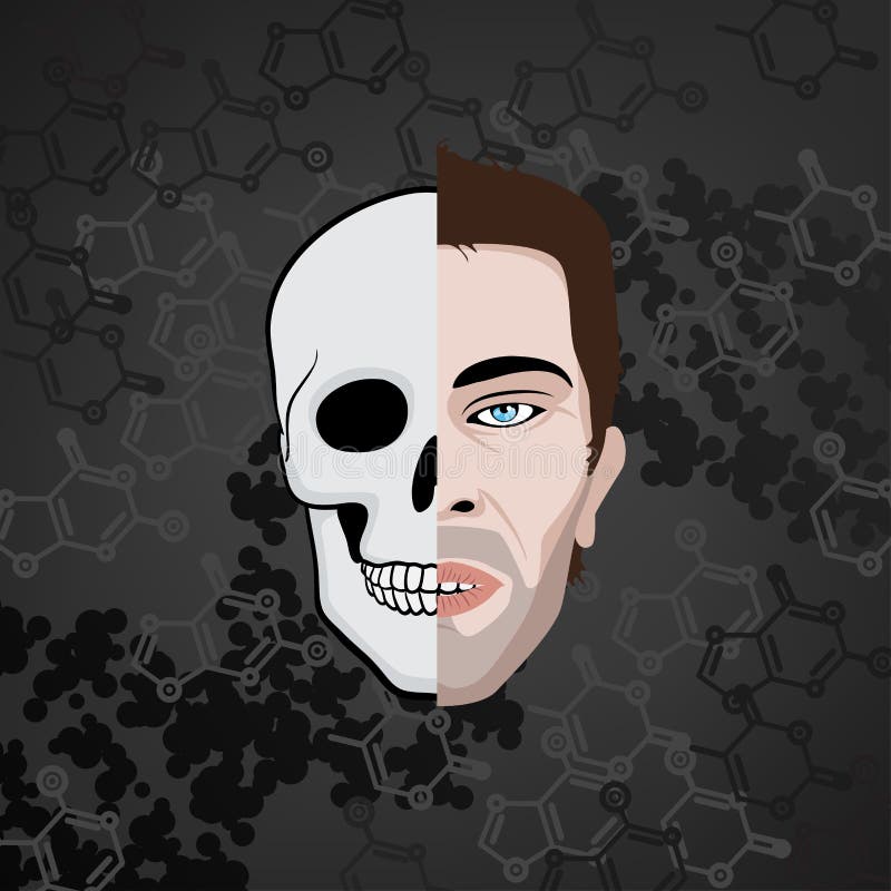 Half face skull stock vector. Illustration of face, anatomy - 49577193 Half face skull stock vector. Illustration of face, anatomy - 49577193