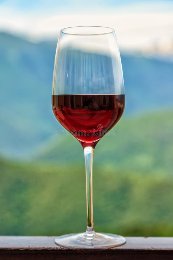 Half full red wine glass goblet on nature scenic background vertical close up view