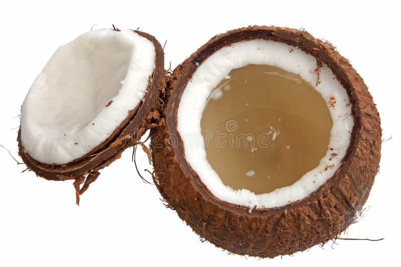 Half open coconut stock image