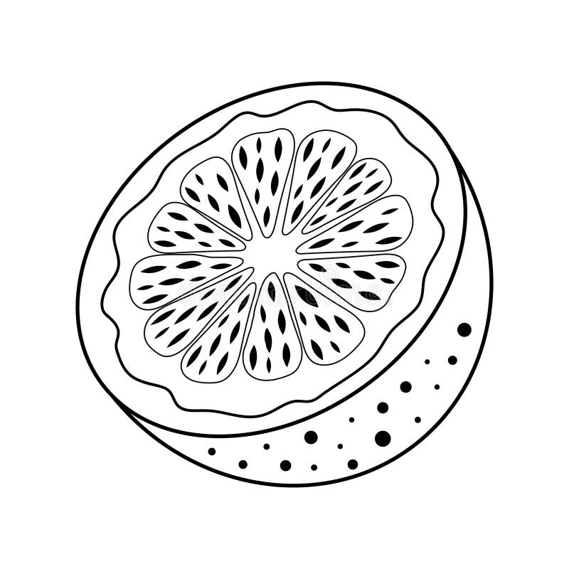 Half an Orange. Juicy Fruit Hand Drawn Illustration in Doodle Style