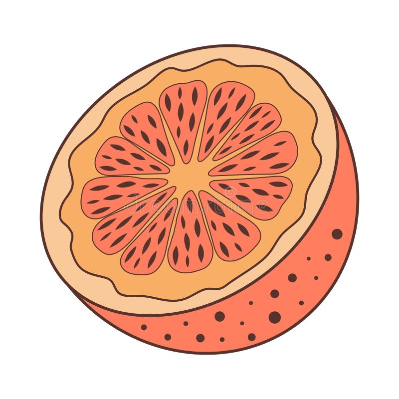 Half an Orange. Juicy Fruit Hand Drawn Illustration in Doodle Style