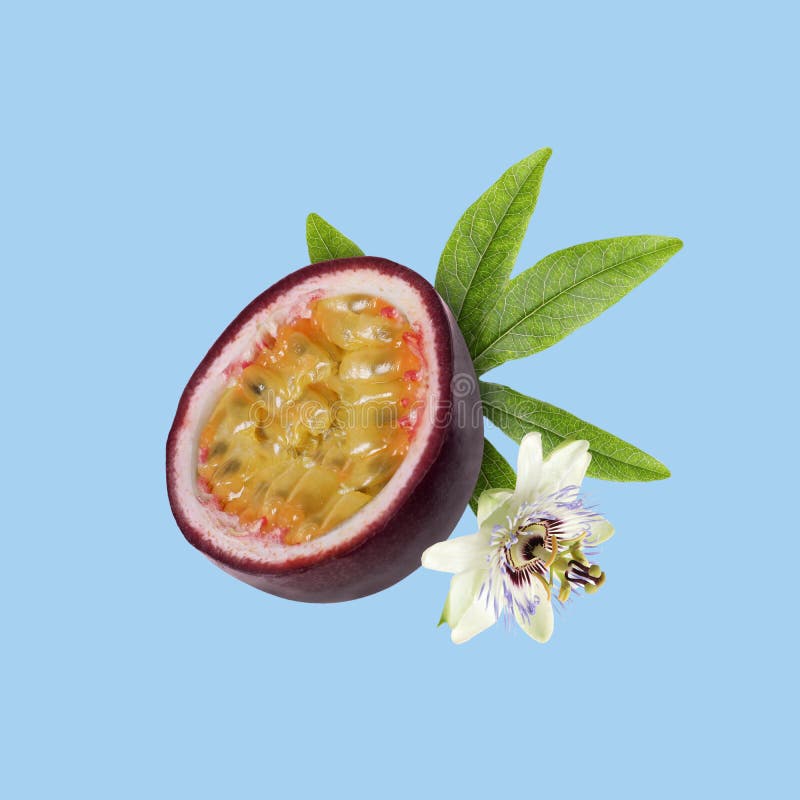 153 Passion Fruit Falling Stock Photos Free & RoyaltyFree Stock