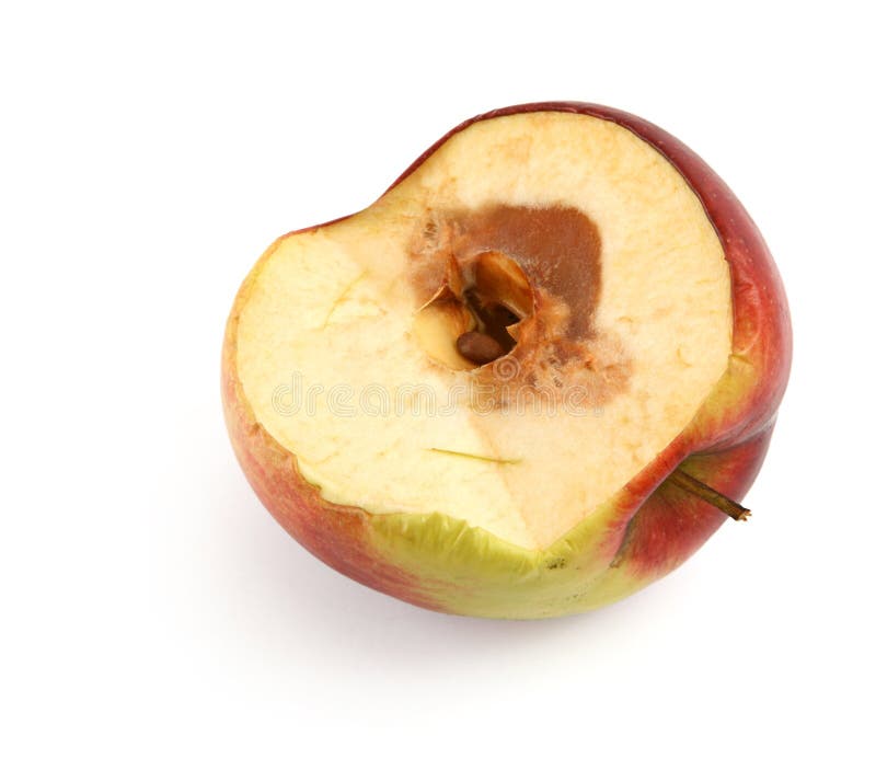 Rotten Apple - Stock Image - F003/9696 - Science Photo Library