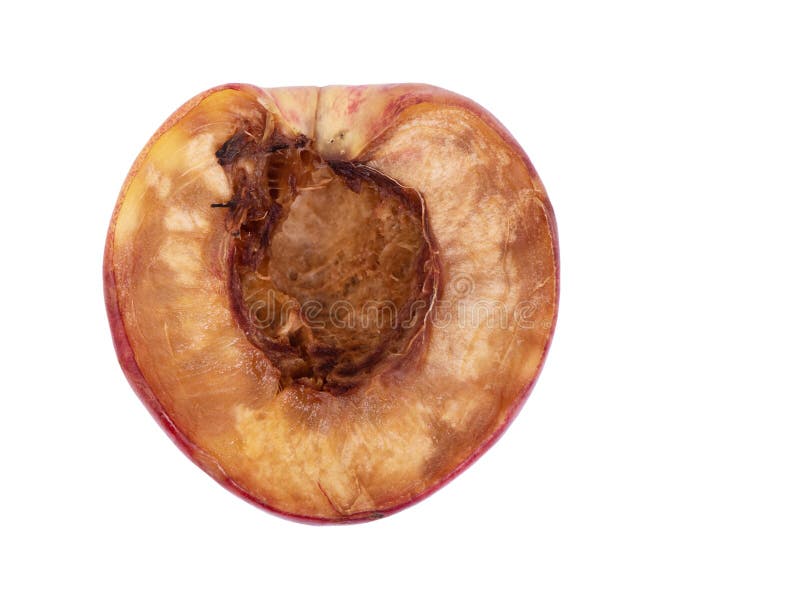 Rotten Nectarine Isolated On White Background Stock Photo Image of