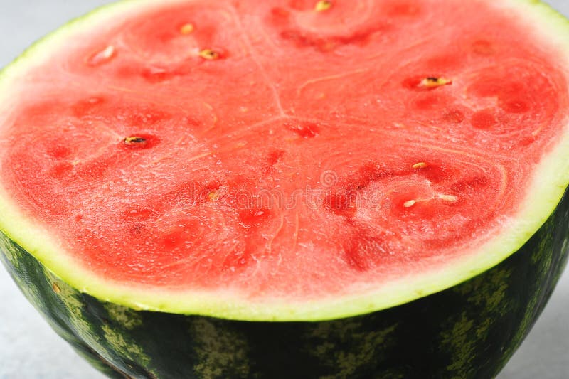Green Watermelon Cut into Round Slices on a Blue Background Stock Image