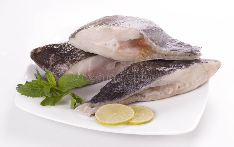 Halibut stock photography