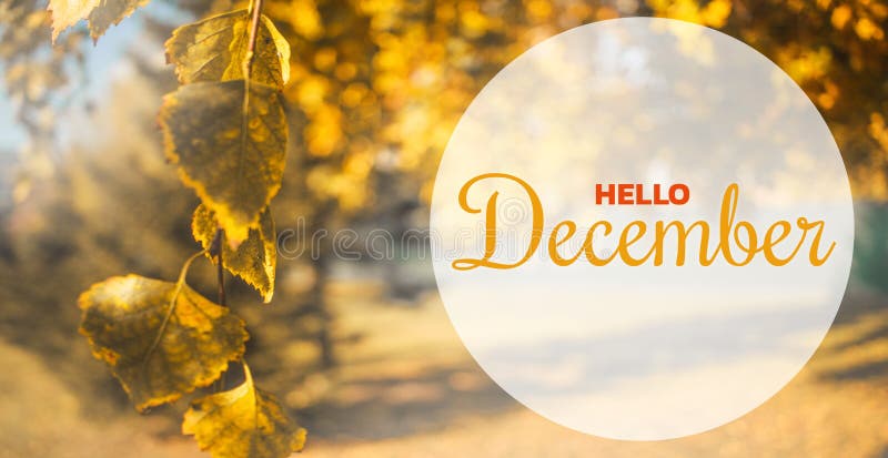 Hallo Dezember-Herbstzusammensetzung Gelbe und orange Blätter auf Himmelhintergrund