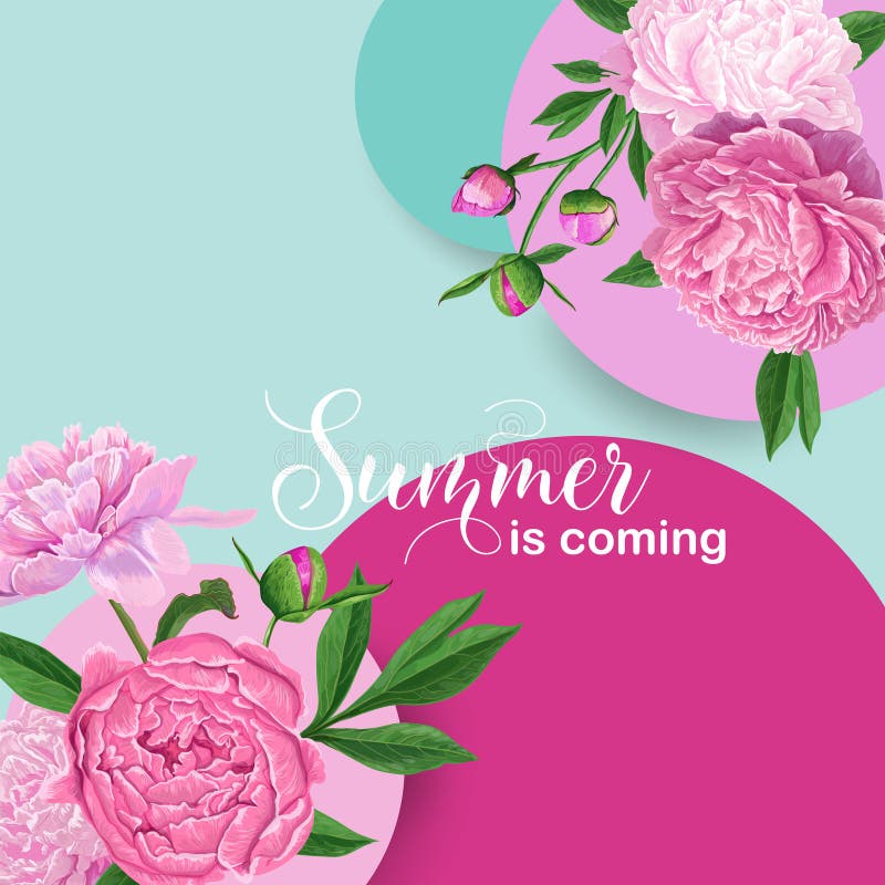 Hallo Sommer-Blumenmuster mit rosa Pfingstrosen-Blumen Botanischer Hintergrund für Plakat, Fahne, Heiratseinladung vektor abbildung Hallo Sommer-Blumenmuster mit rosa Pfingstrosen-Blumen Botanischer Hintergrund für Plakat, Fahne, Heiratseinladung vektor abbildung