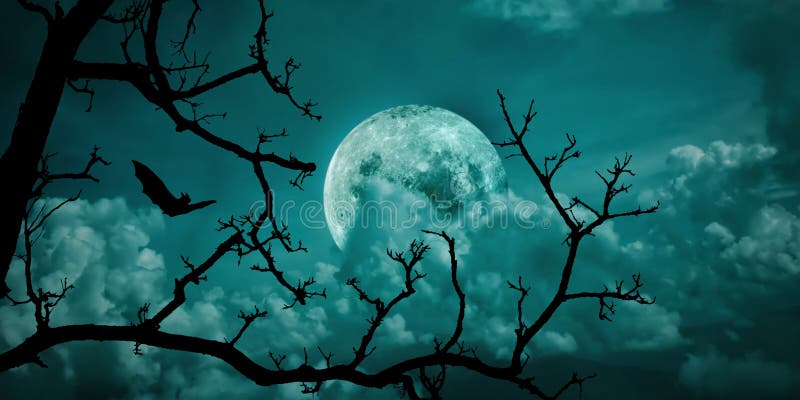 Spooky forest dead tree with full moon sky