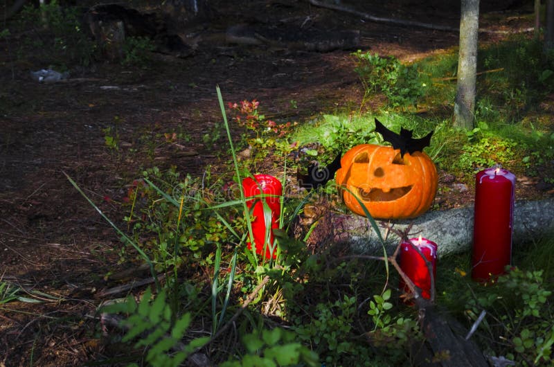 halloween bania z świeczkami, nietoperze w lesie na drewnianym tle gu?larstwo Zachodnia kultura obraz royalty free halloween bania z świeczkami, nietoperze w lesie na drewnianym tle gu?larstwo Zachodnia kultura obraz royalty free