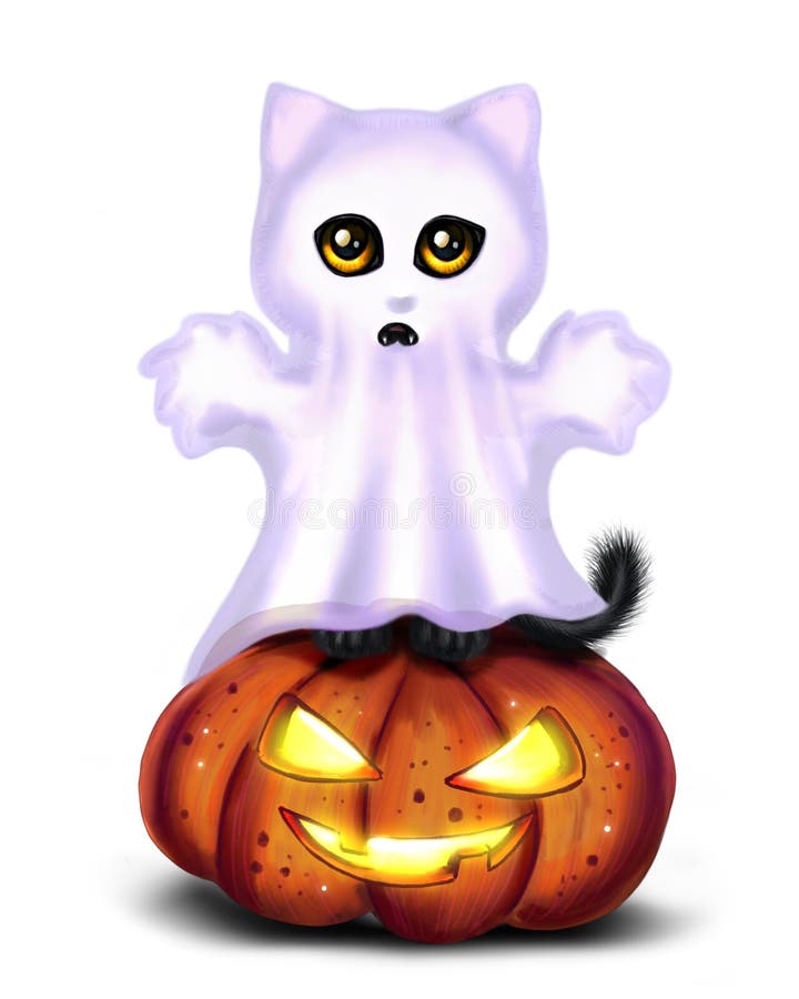 Halloween Black Cat Ghost on Pumpkin Stock Image - Illustration of ...