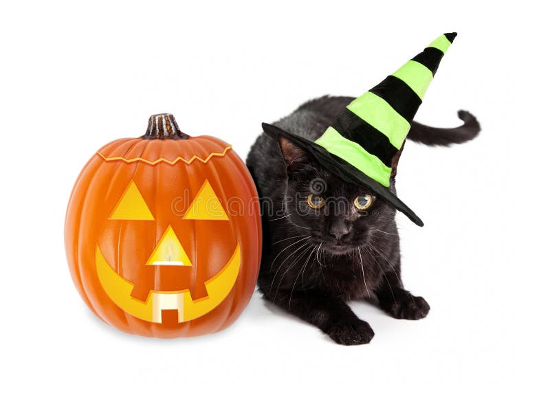 Black cat wearing a green and black striped witch hat laying next to an illuminated jack-o-lantern Halloween pumpkin. Black cat wearing a green and black striped witch hat laying next to an illuminated jack-o-lantern Halloween pumpkin