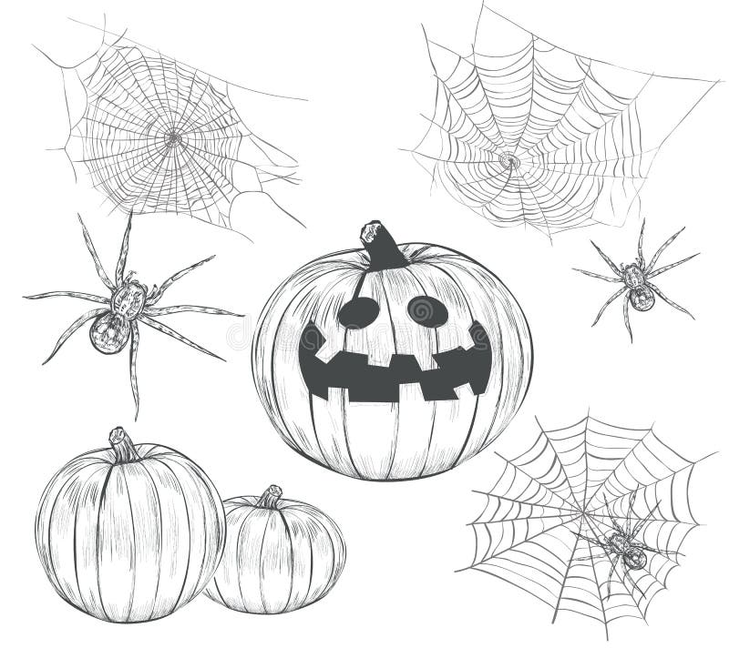 halloween spider drawing