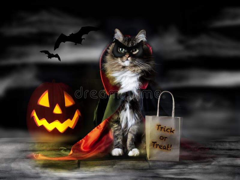Halloween-de Kat van Tellingsdracula
