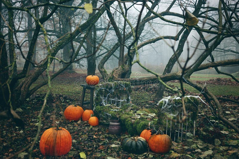Halloween Decoration With Pumpkins In Dark Forest Stock Photo