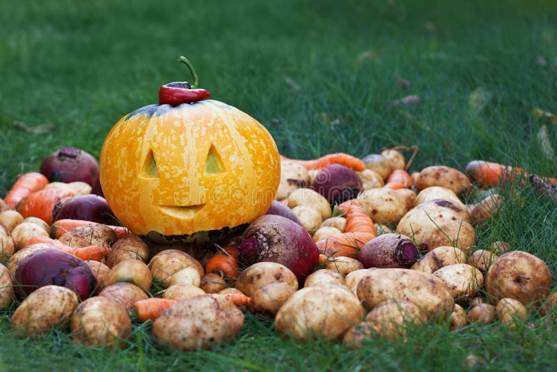Halloween funny pumpkin with autumn harvest potatoes, carrots, beets on a green grass royalty free stock image Halloween funny pumpkin with autumn harvest potatoes, carrots, beets on a green grass royalty free stock image