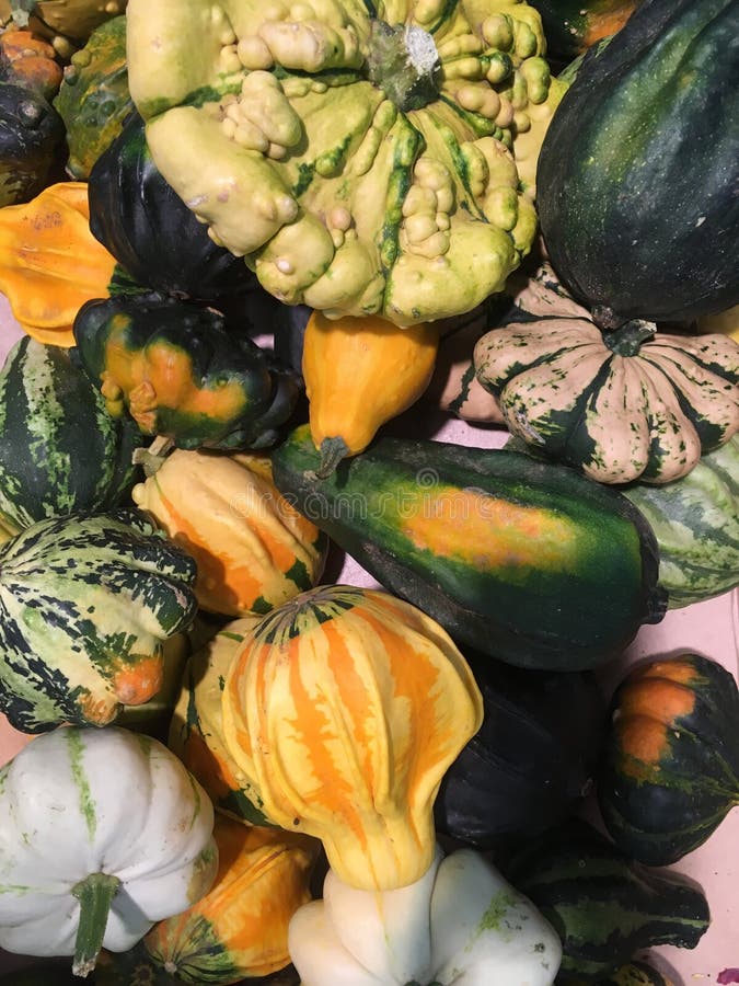 Halloween för pumpa för bakgrundstextur ny ferie arkivfoton Halloween för pumpa för bakgrundstextur ny ferie arkivfoton