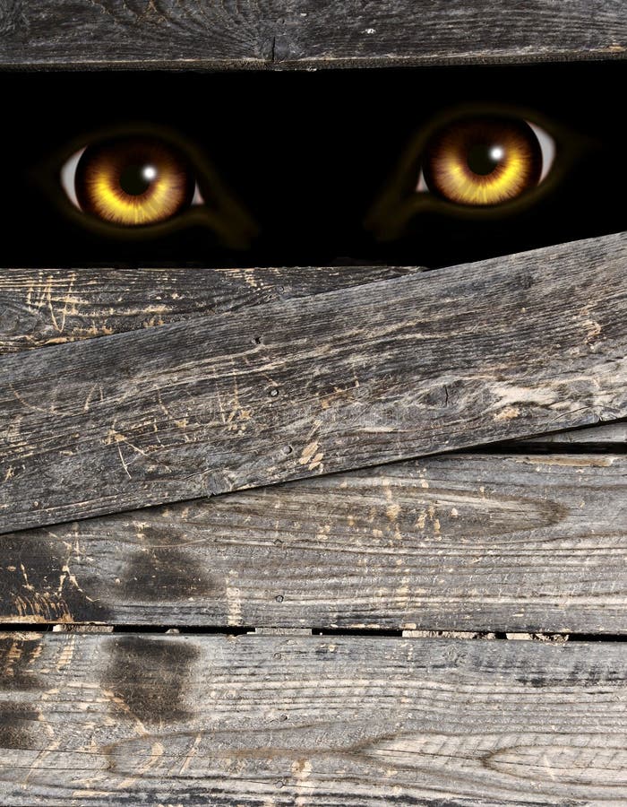 Halloween-Hintergrund mit Augen des Monster in der Dunkelheit lizenzfreie stockbilder