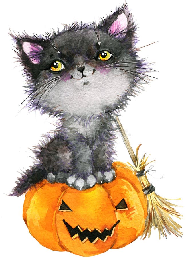 Halloween Cat on Pumpkin stock vector. Illustration of vector - 35484150